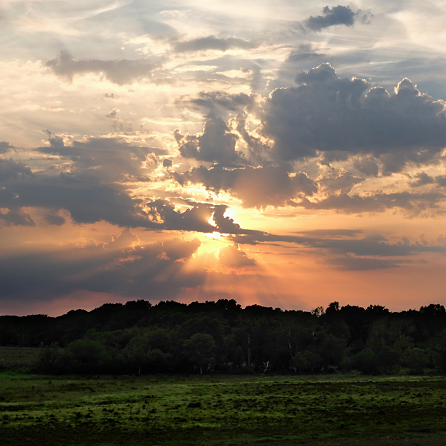 New Forest sunset, Ashurst. Fujifilm X-pro 2.