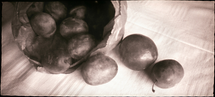 Plums. Home-made pinhole camera on roll film. Part of a small series of pinhole images celebrating Kentish orchard fruits.